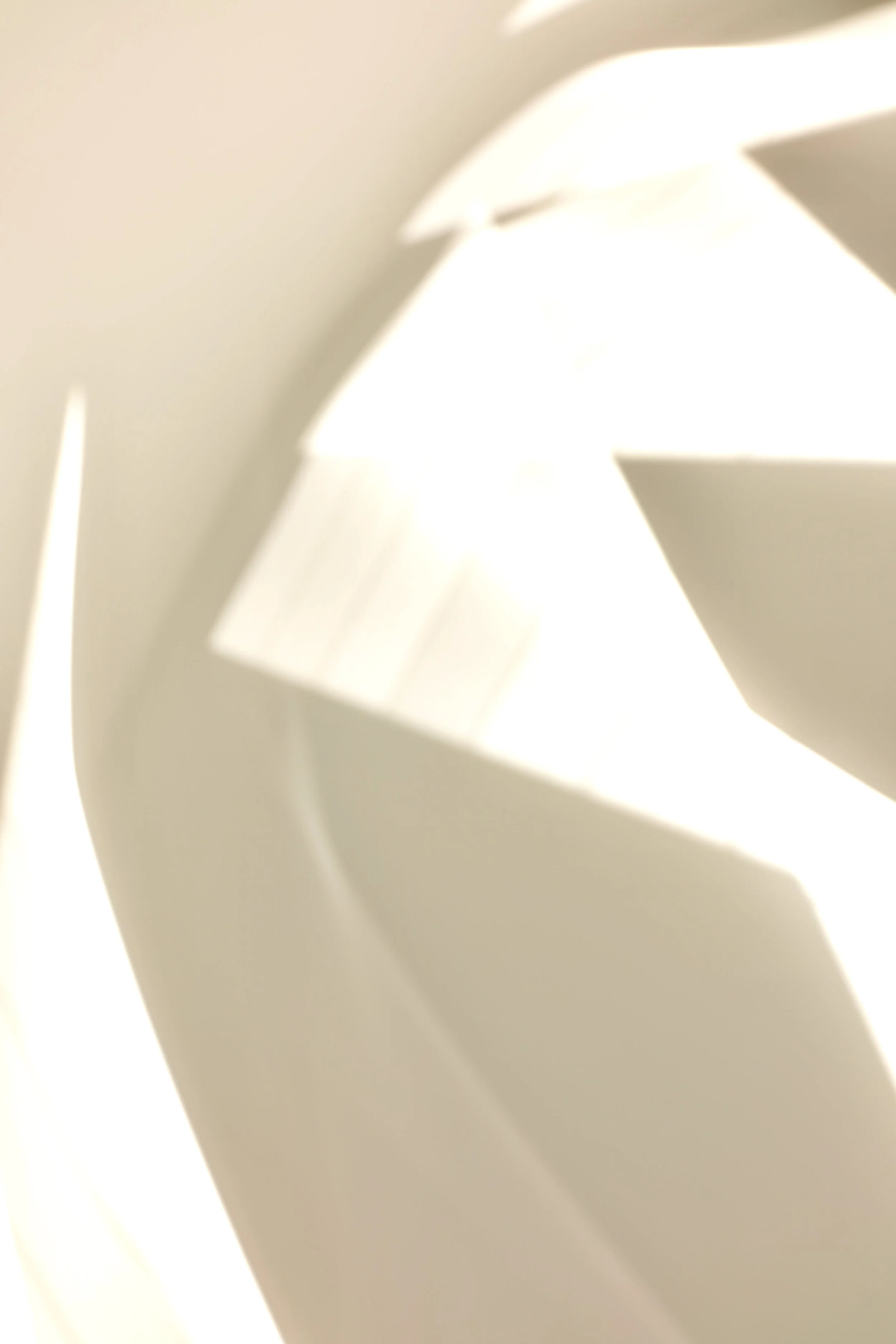  Movement 2023:534 (2023) C-print on wood panel, 60”x40” 