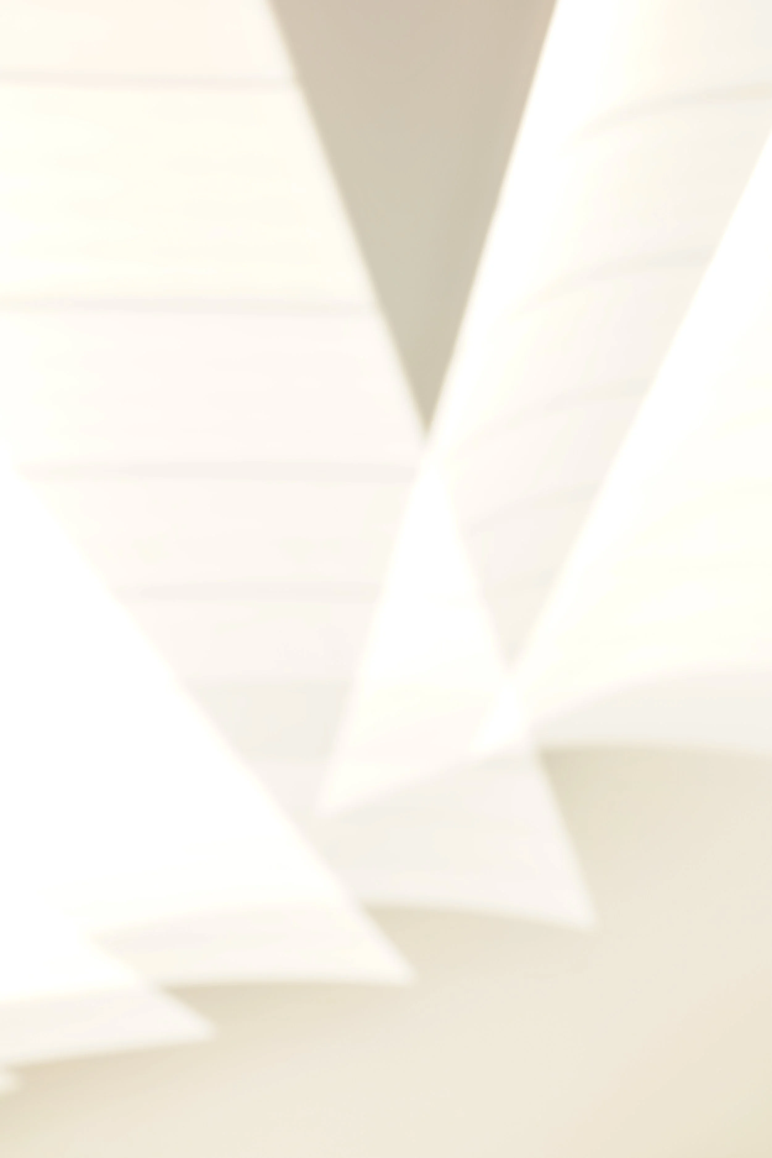  Movement 2023:536 (2023) C-print on wood panel, 60”x40” 