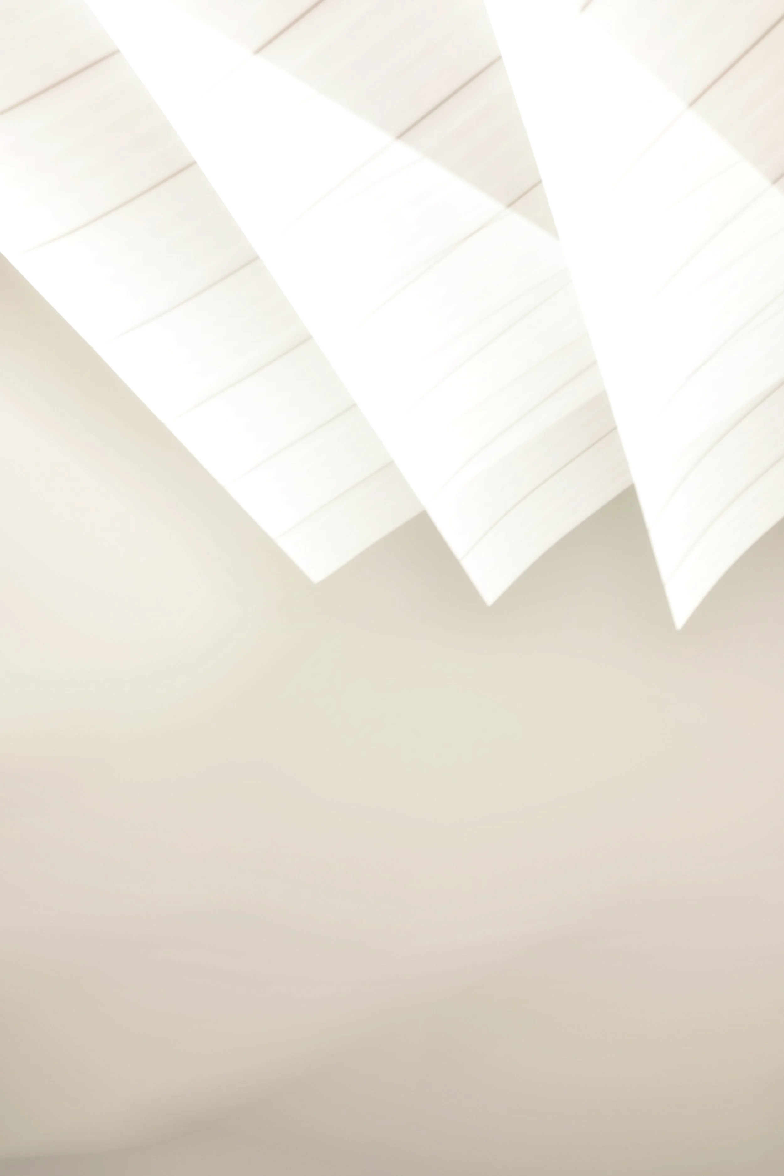  Movement 2023:537 (2023) C-print on wood panel, 60”x40” 