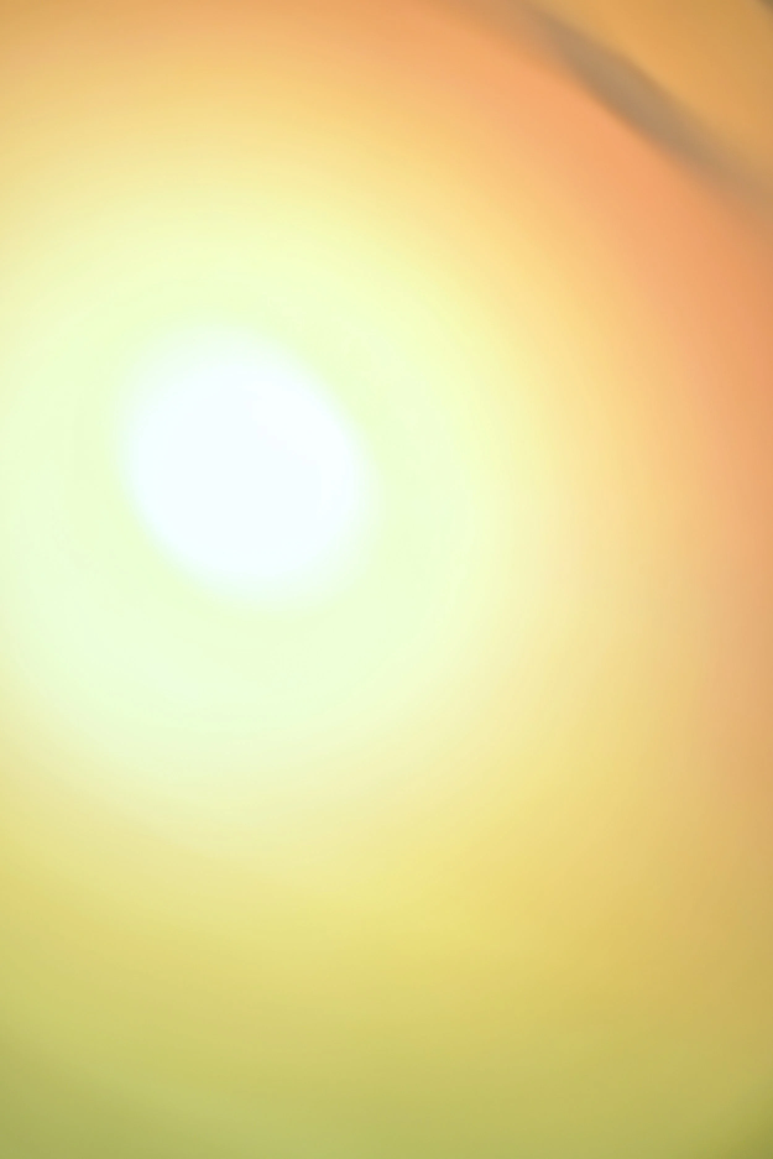  Movement 2023:544 (2023) C-print on wood panel, 60”x40” 