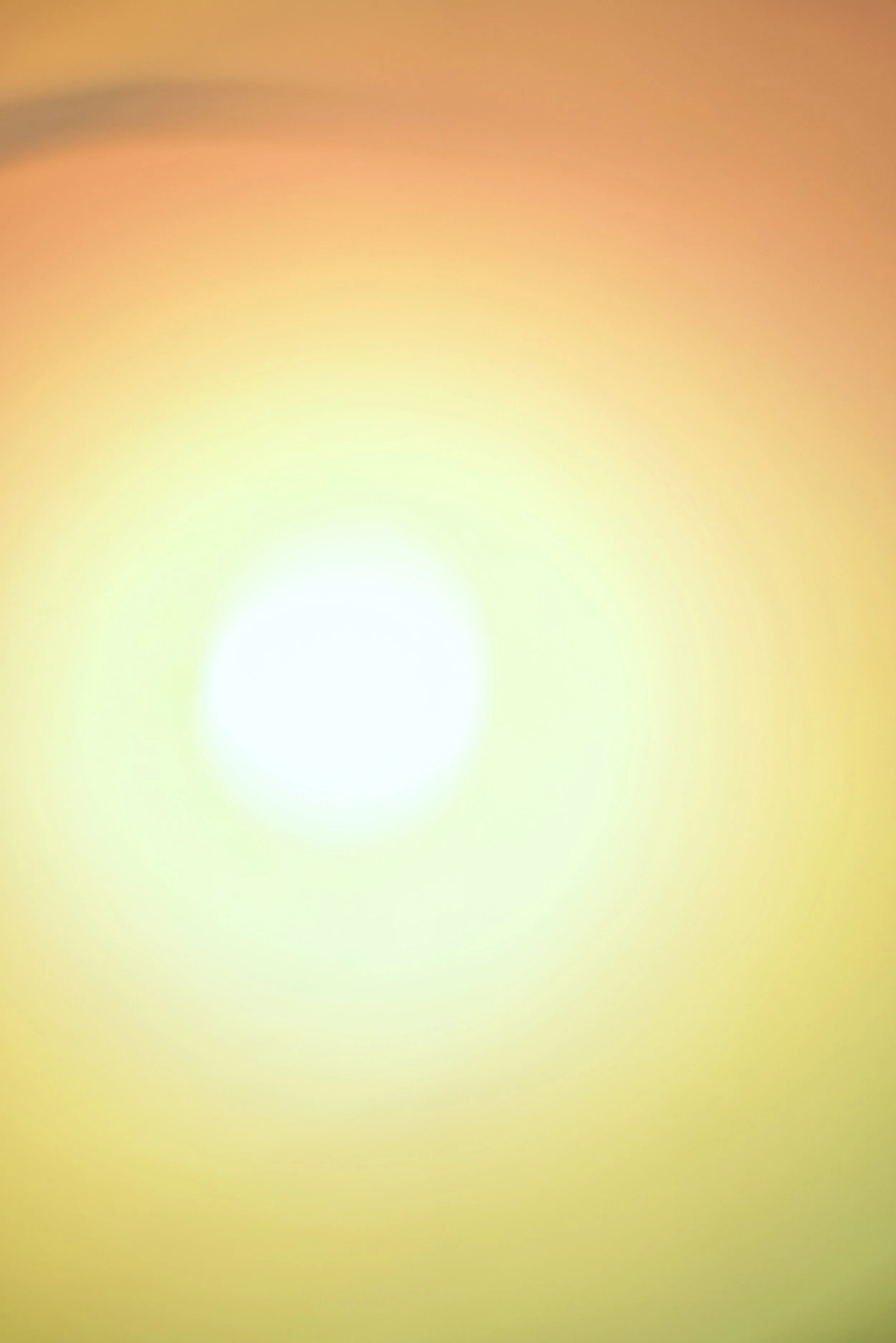  Movement 2023:545 (2023) C-print on wood panel, 60”x40” 