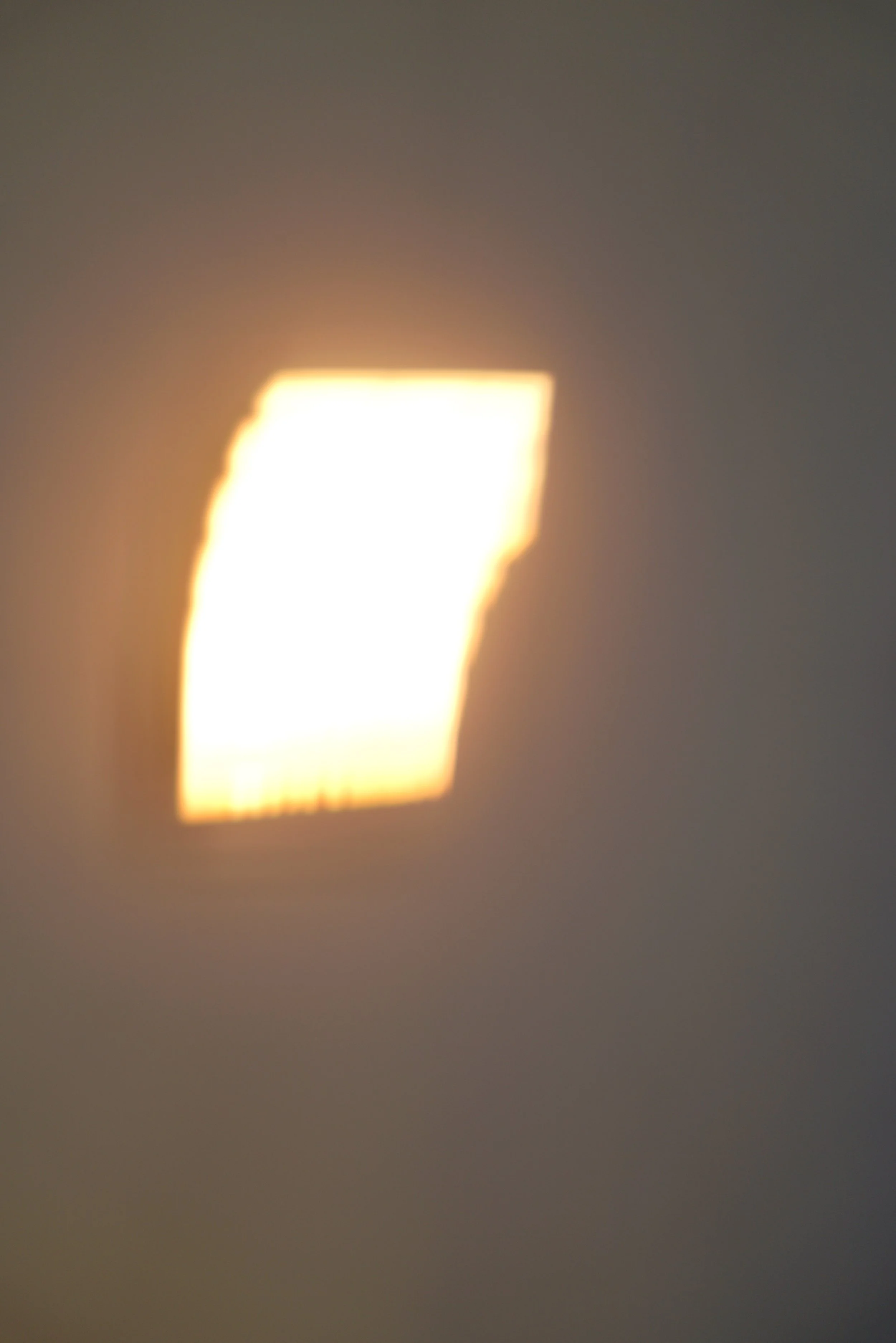  Movement 2023:555 (2023) C-print on wood panel, 60”x40” 