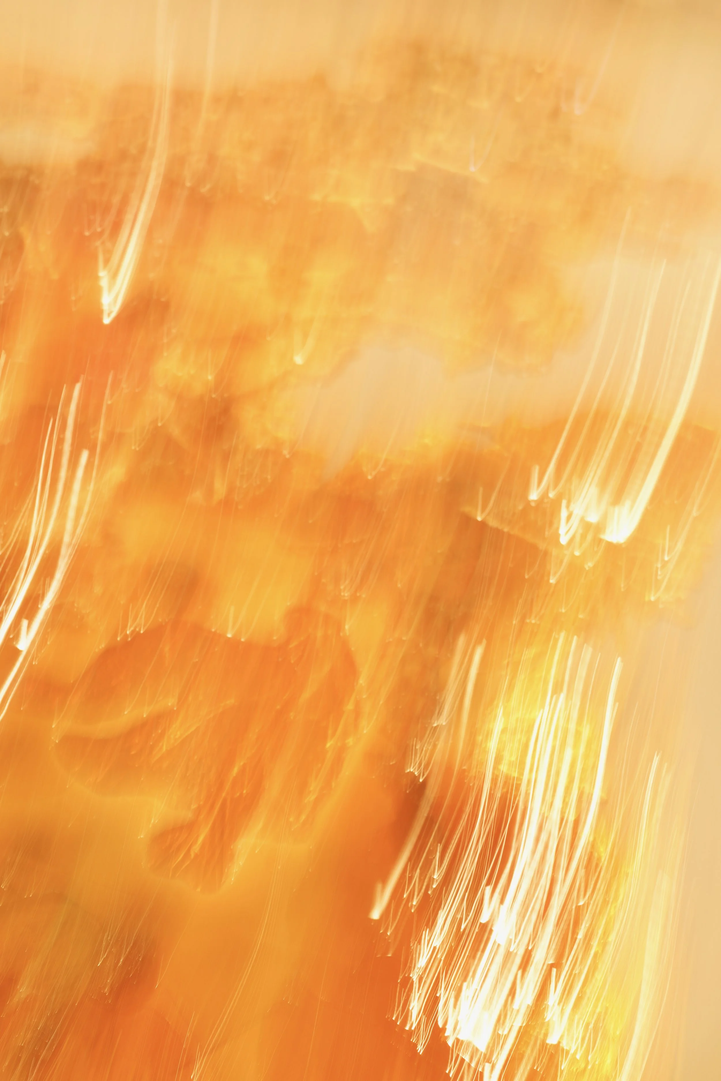  Movement 2023:602 (2023) C-print on wood panel, 60”x40” 