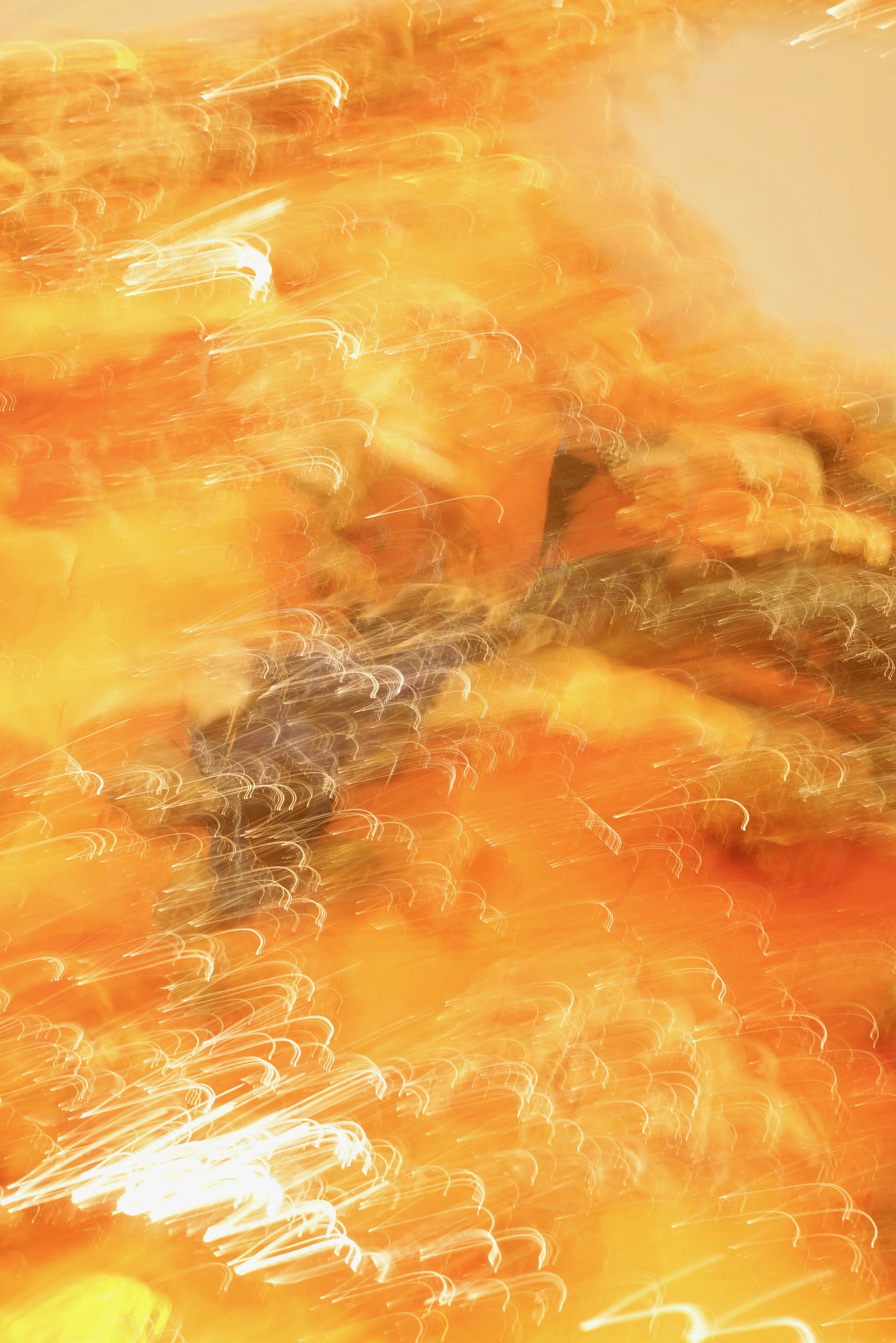  Movement 2023:605 (2023) C-print on wood panel, 60”x40” 