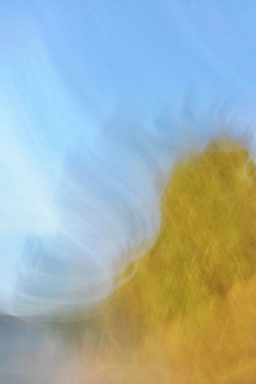  Movement 2023:618 (2023) C-print on wood panel, 60”x40” 