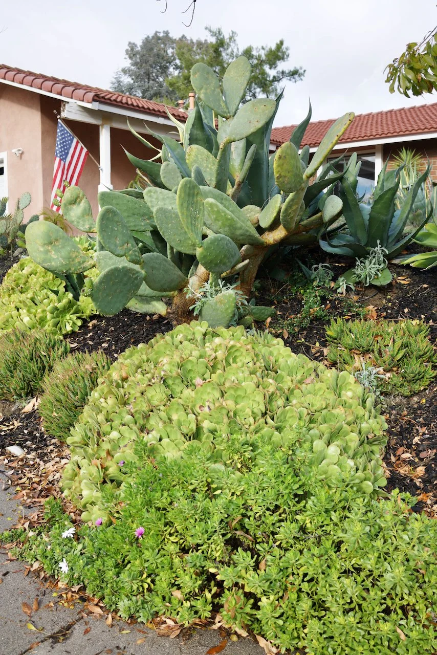  Clusters 2023:57 (2023) C-print on wood panel, 60”x40” 