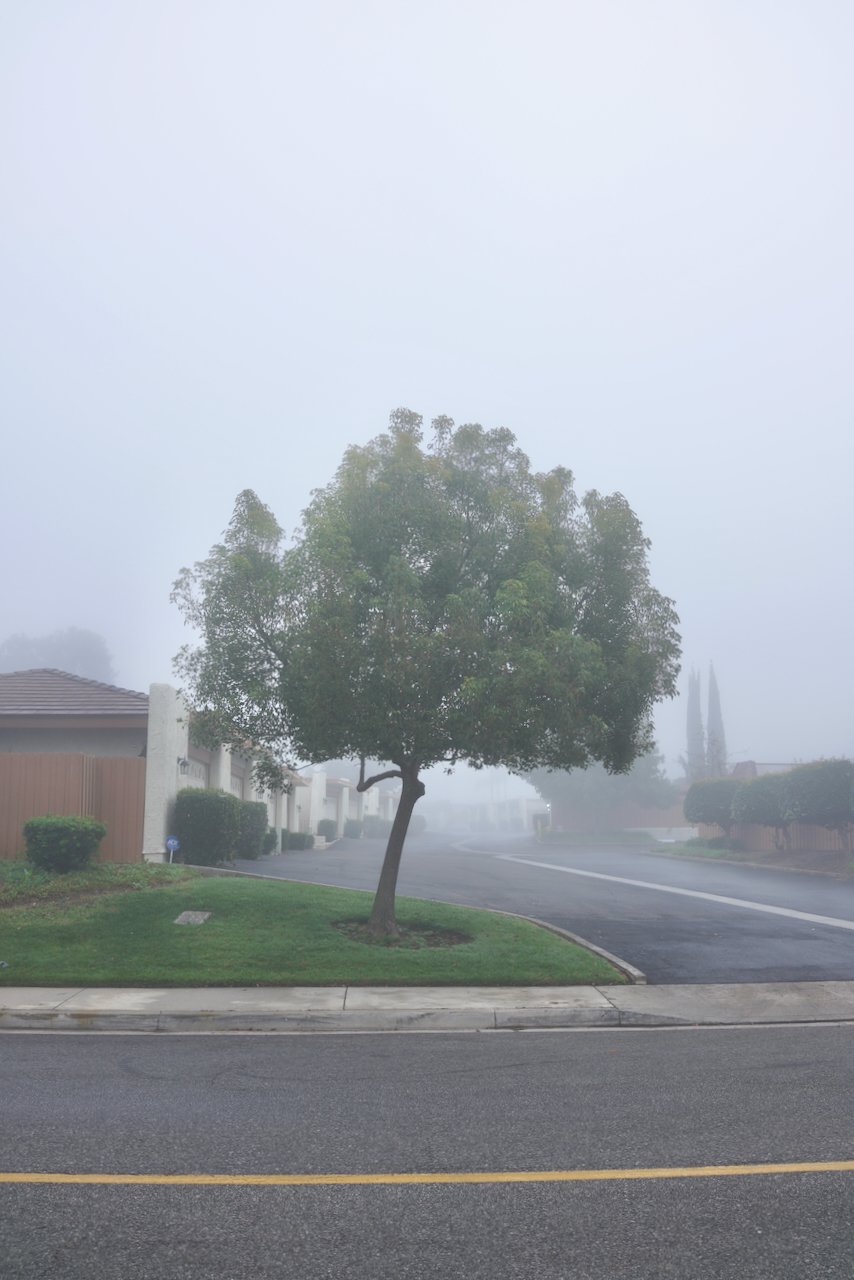  Equilibrium 2023:130 (2023) C-print on wood panel, 60”x40” 