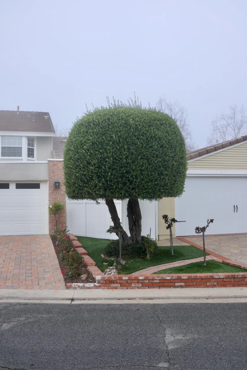  Equilibrium 2023:131 (2023) C-print on wood panel, 60”x40” 