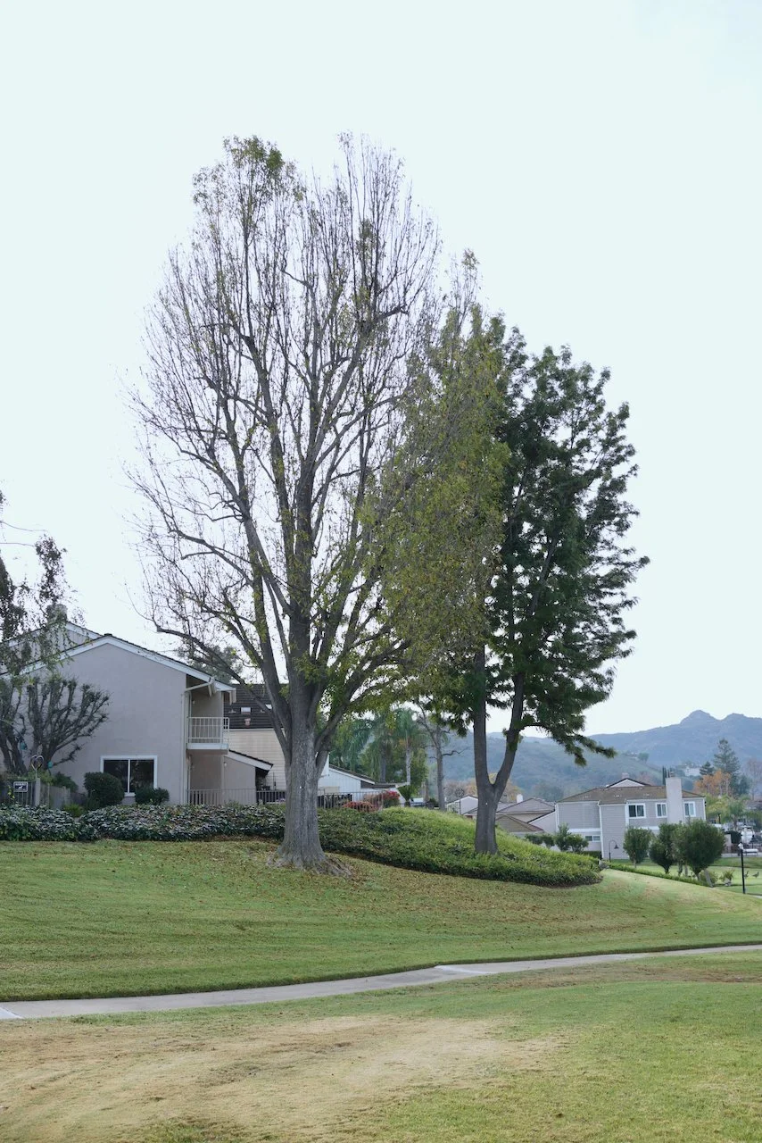  Equilibrium 2023:133 (2023) C-print on wood panel, 60”x40” 