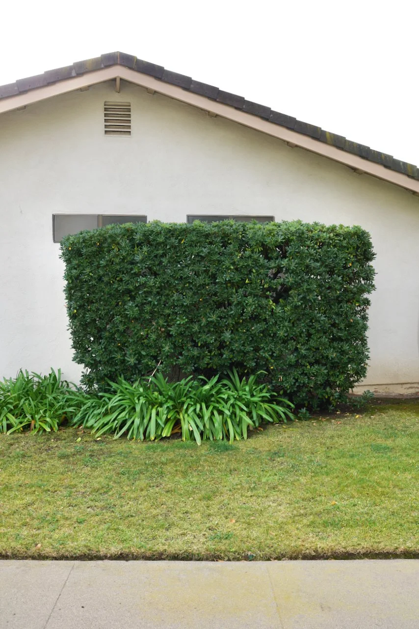  Equilibrium 2023:136 (2023) C-print on wood panel, 60”x40” 