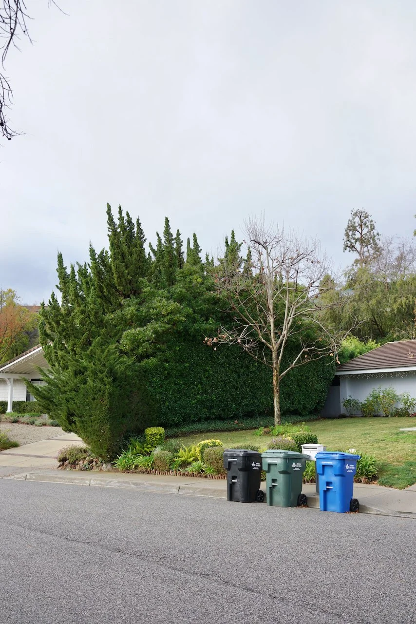  Equilibrium 2023:137 (2023) C-print on wood panel, 60”x40” 