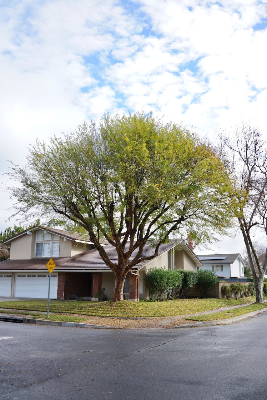  Equilibrium 2023:139 (2023) C-print on wood panel, 60”x40” 