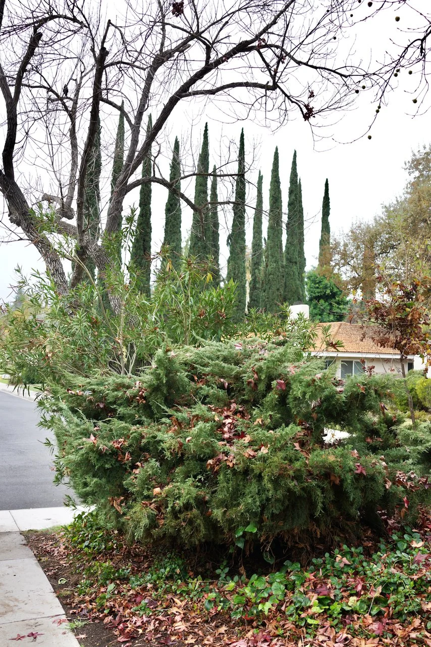  Spaces 2023:69 (2023) C-print on wood panel, 60”x40” 