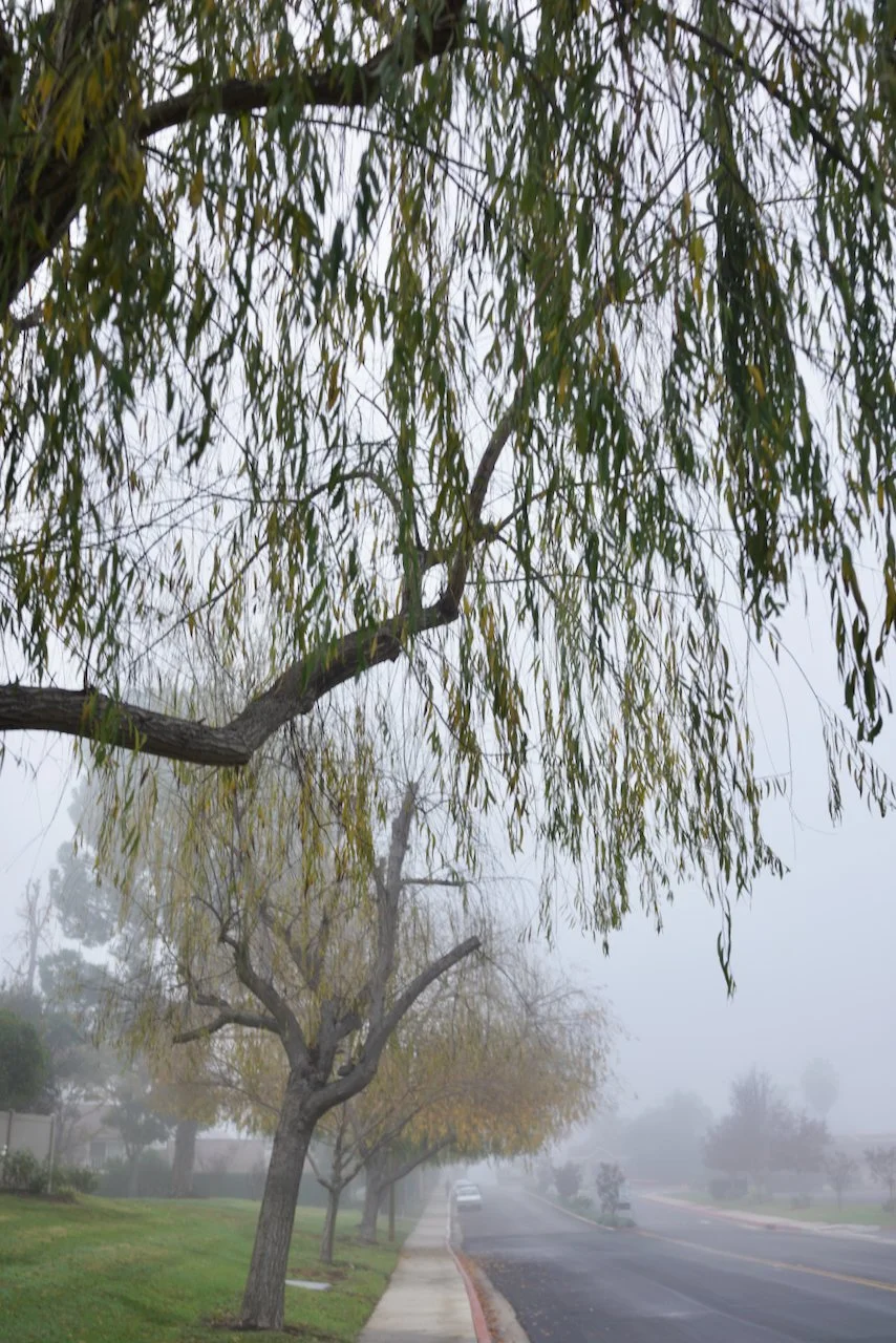  Spaces 2023:71 (2023) C-print on wood panel, 60”x40” 