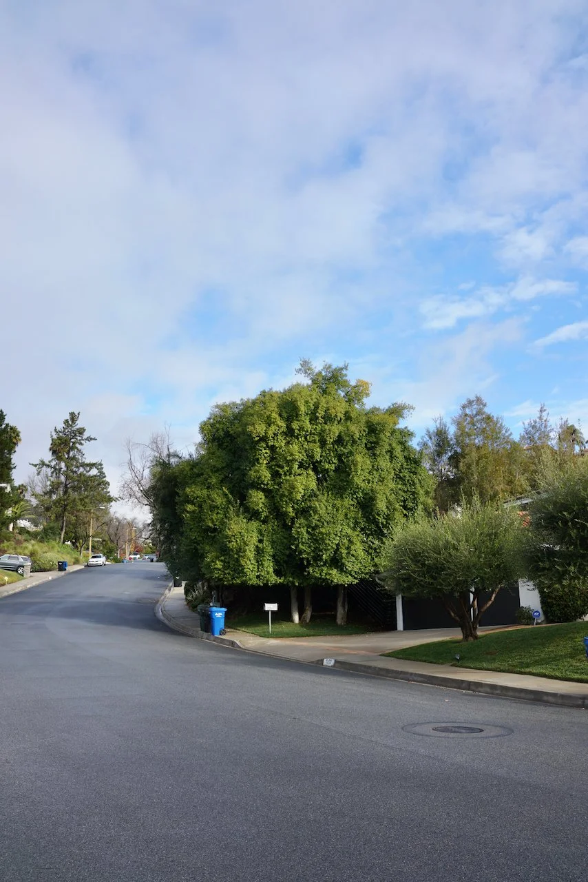  Spaces 2023:73 (2023) C-print on wood panel, 60”x40” 