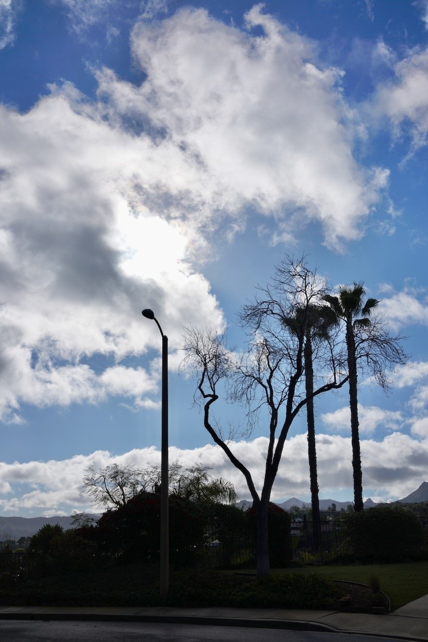  Clusters 2024:5 (2024) C-print on wood panel, 60”x40” 