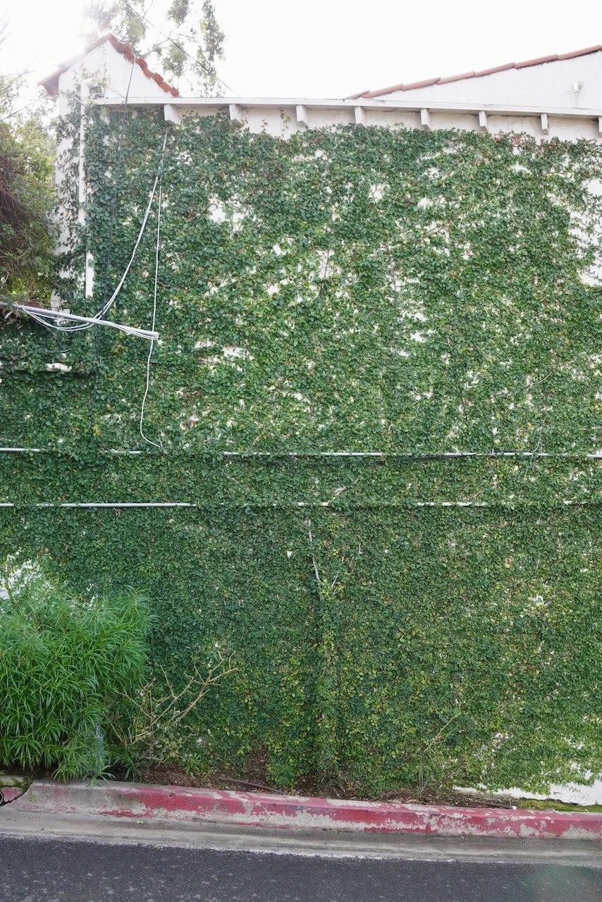  Clusters 2024:8 (2024) C-print on wood panel, 60”x40” 