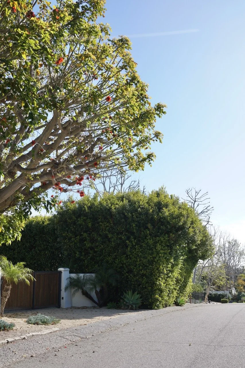  Clusters 2024:13 (2024) C-print on wood panel, 60”x40” 