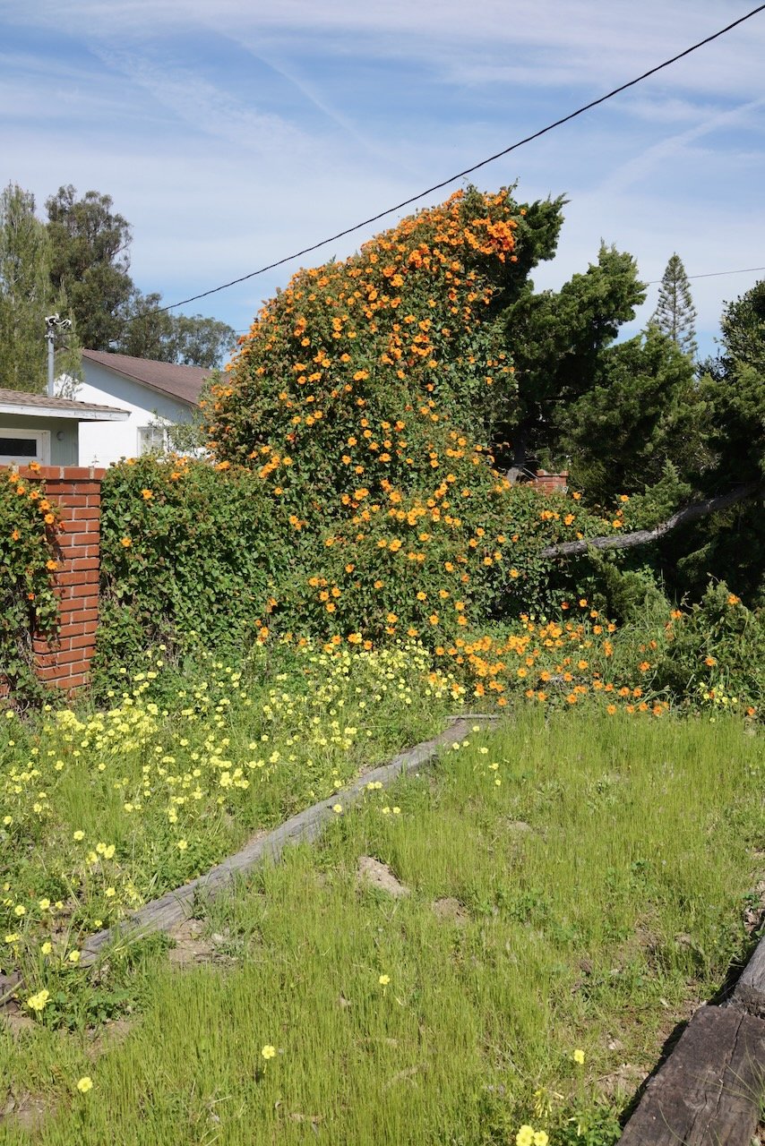  Clusters 2024:14 (2024) C-print on wood panel, 60”x40” 