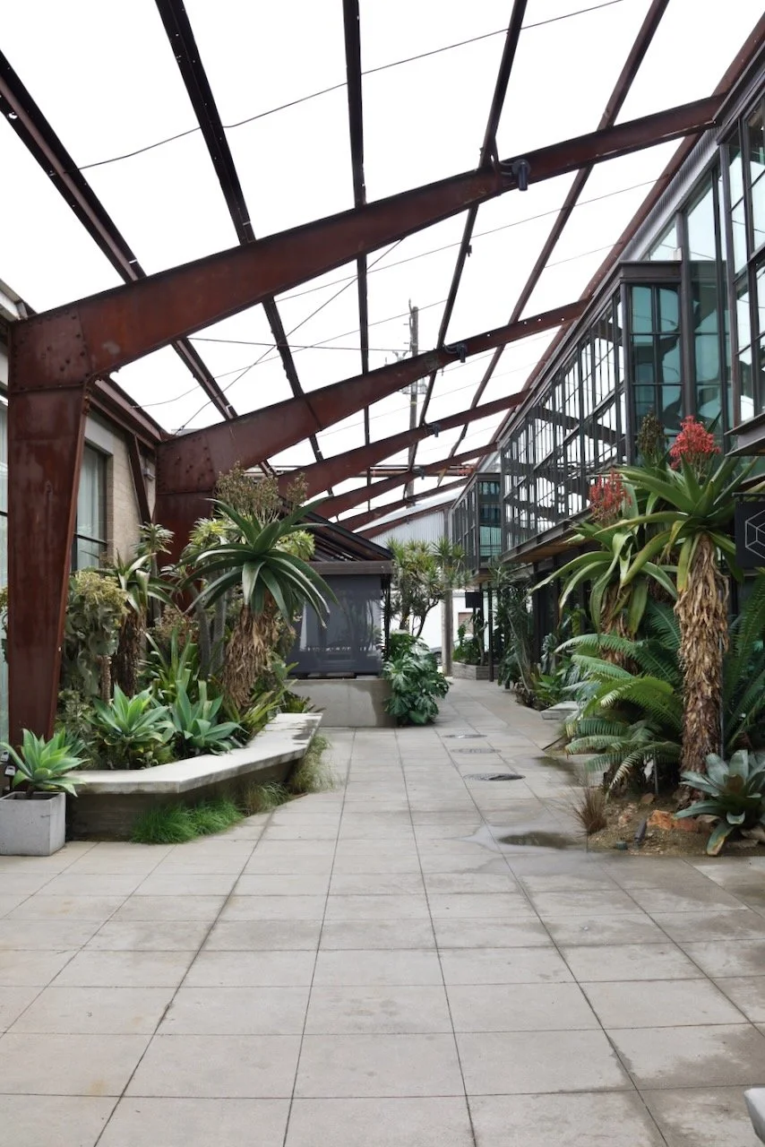  Clusters 2024:15 (2024) C-print on wood panel, 60”x40” 