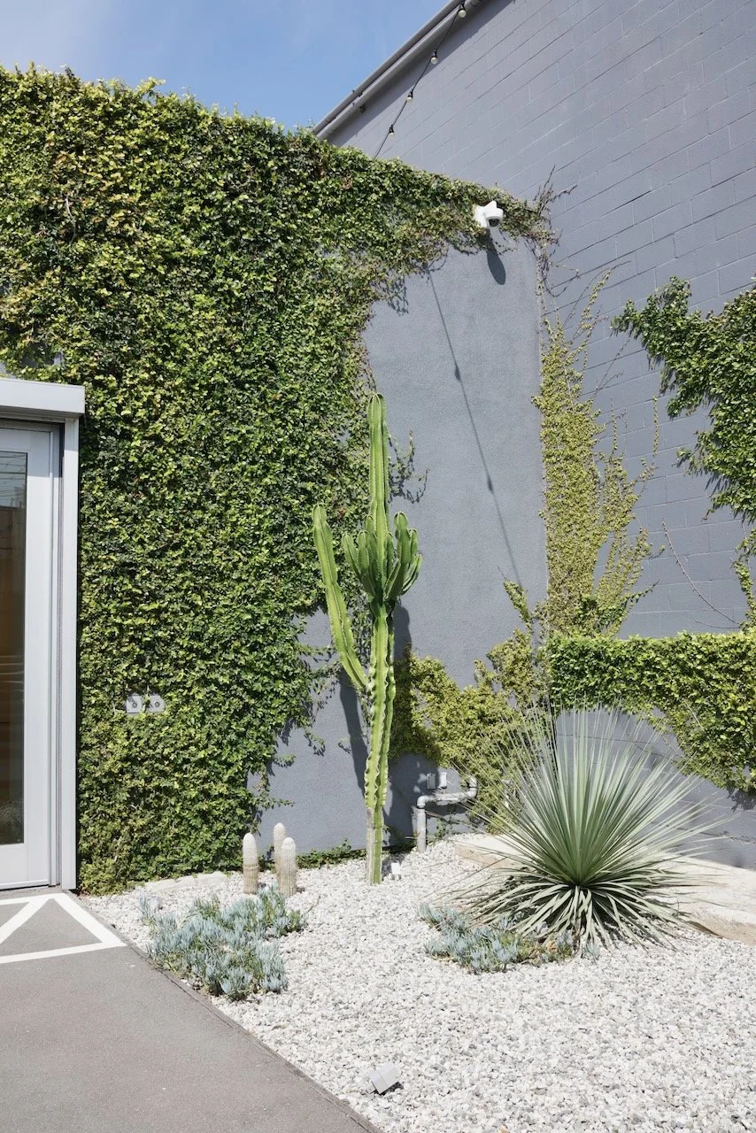  Clusters 2024:17 (2024) C-print on wood panel, 60”x40” 