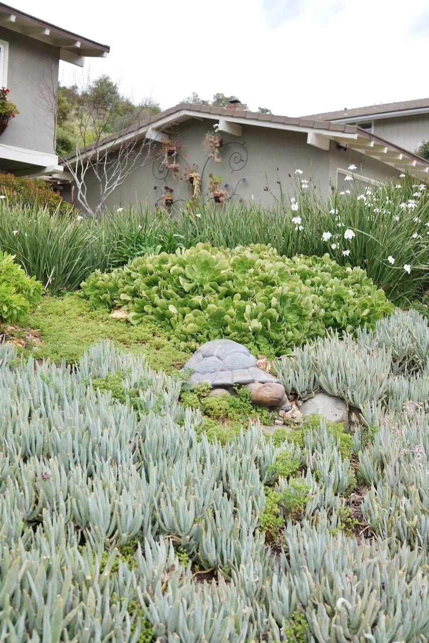  Clusters 2024:18 (2024) C-print on wood panel, 60”x40” 