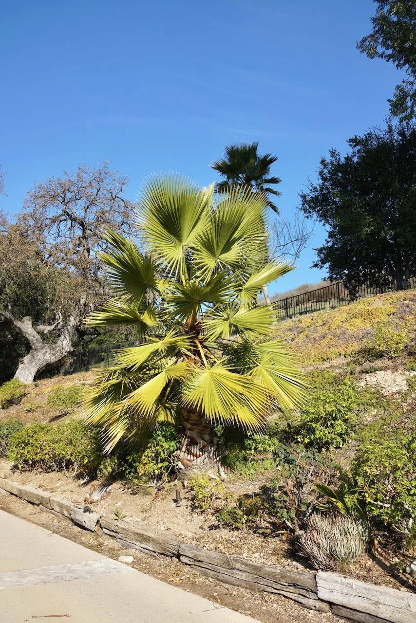  Equilibrium 2024:3 (2024) C-print on wood panel, 60”x40” 