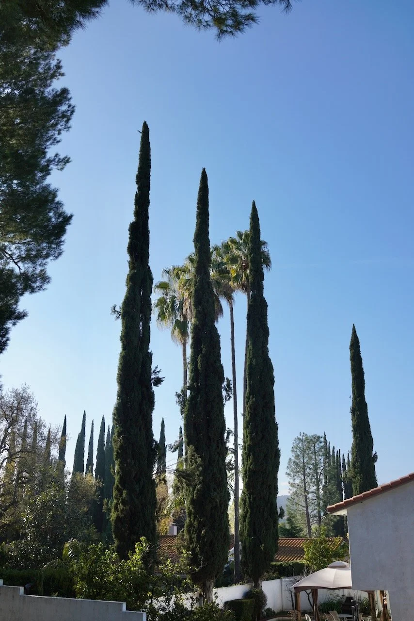  Equilibrium 2024:4 (2024) C-print on wood panel, 60”x40” 