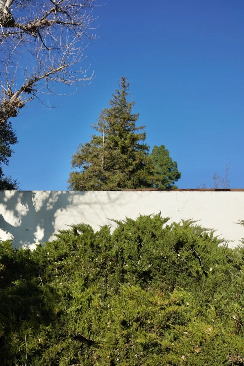  Equilibrium 2024:5 (2024) C-print on wood panel, 60”x40” 