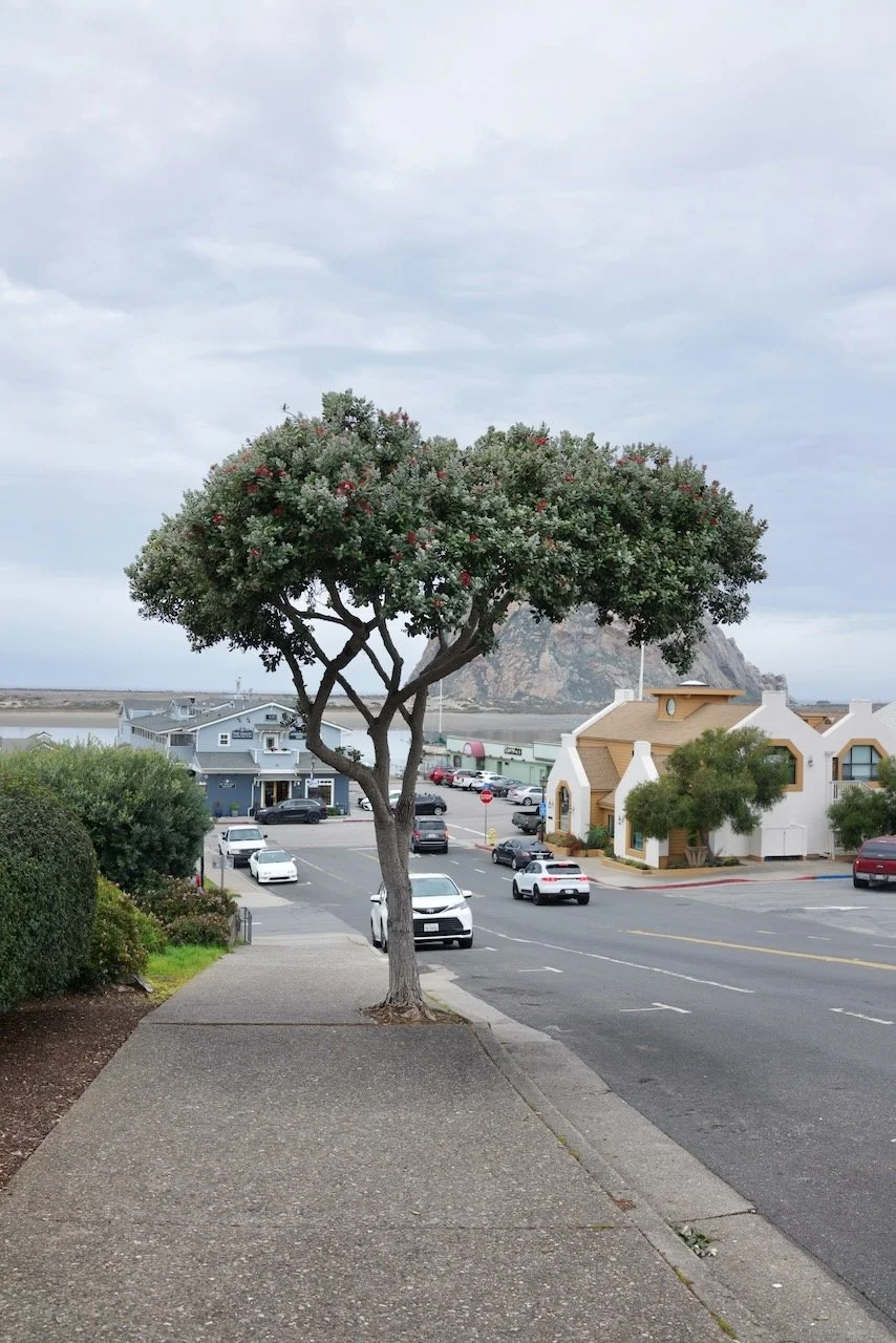  Equilibrium 2024:8 (2024) C-print on wood panel, 60”x40” 