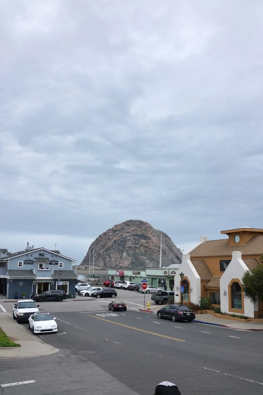  Equilibrium 2024:9 (2024) C-print on wood panel, 60”x40” 