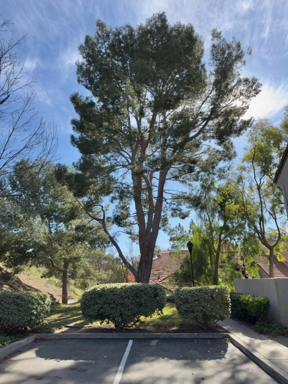  Equilibrium 2024:6 (2024) C-print on wood panel, 60”x40” 