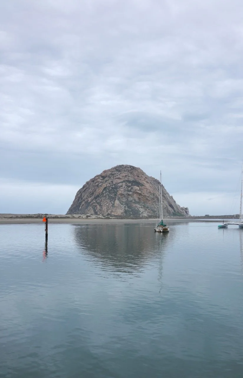  Equilibrium 2024:10 (2024) C-print on wood panel, 60”x40” 