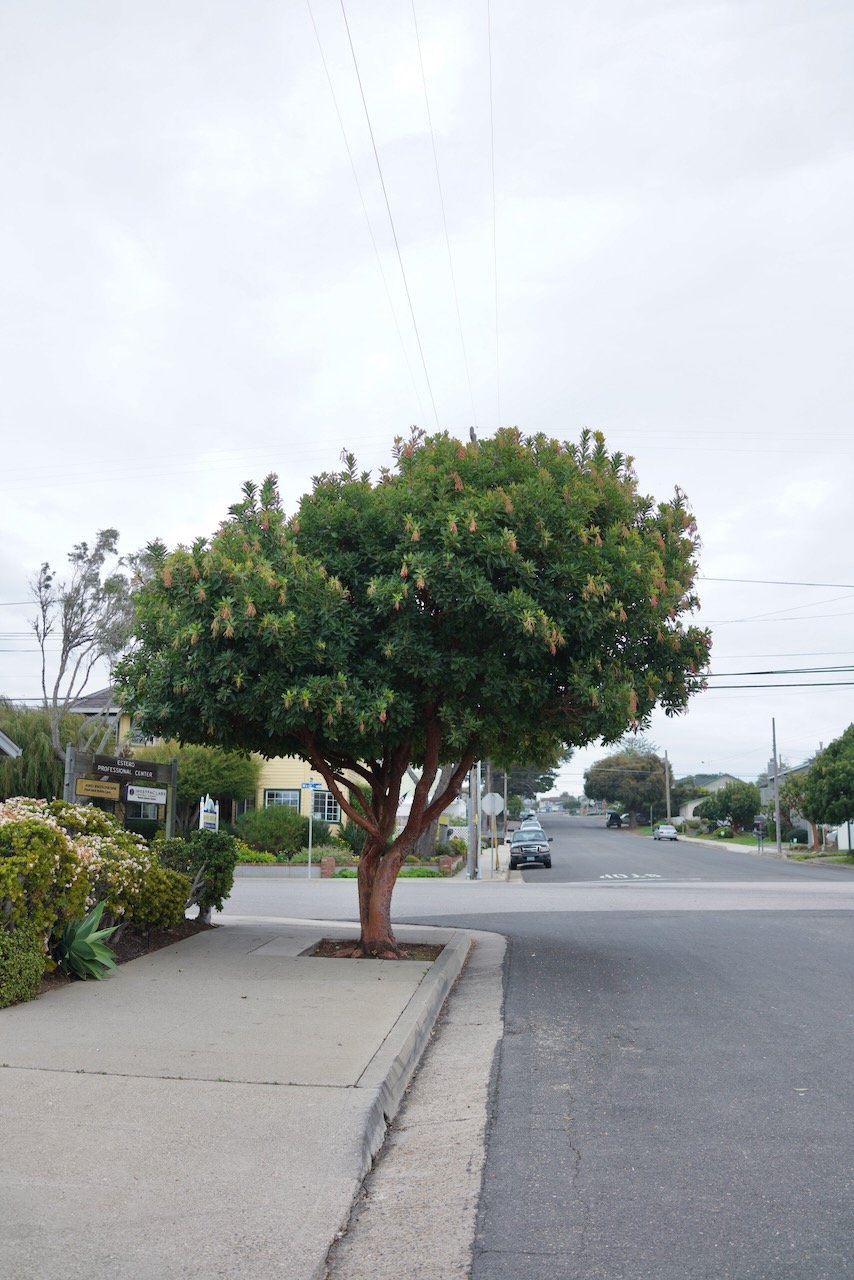  Equilibrium 2024:12 (2024) C-print on wood panel, 60”x40” 