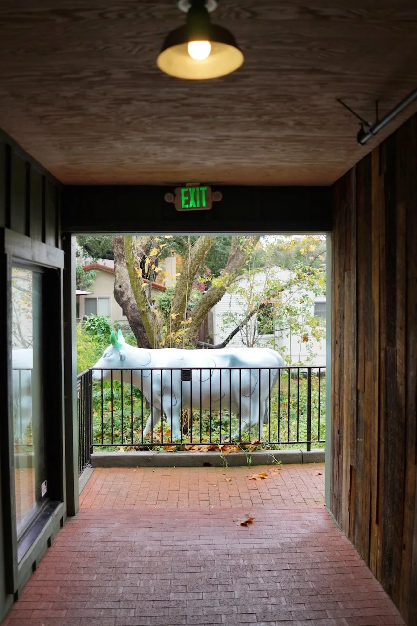  Equilibrium 2024:15 (2024) C-print on wood panel, 60”x40” 