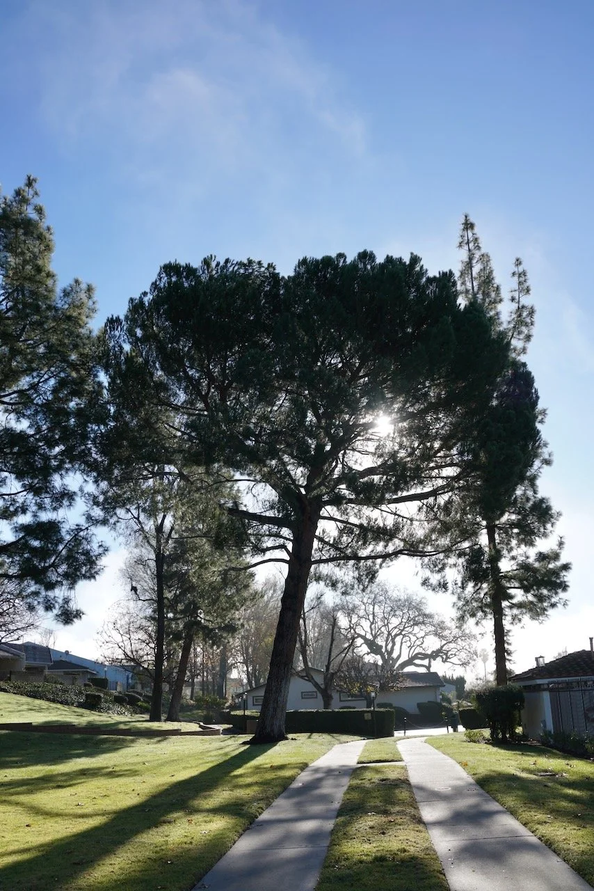  Equilibrium 2024:19 (2024) C-print on wood panel, 60”x40” 