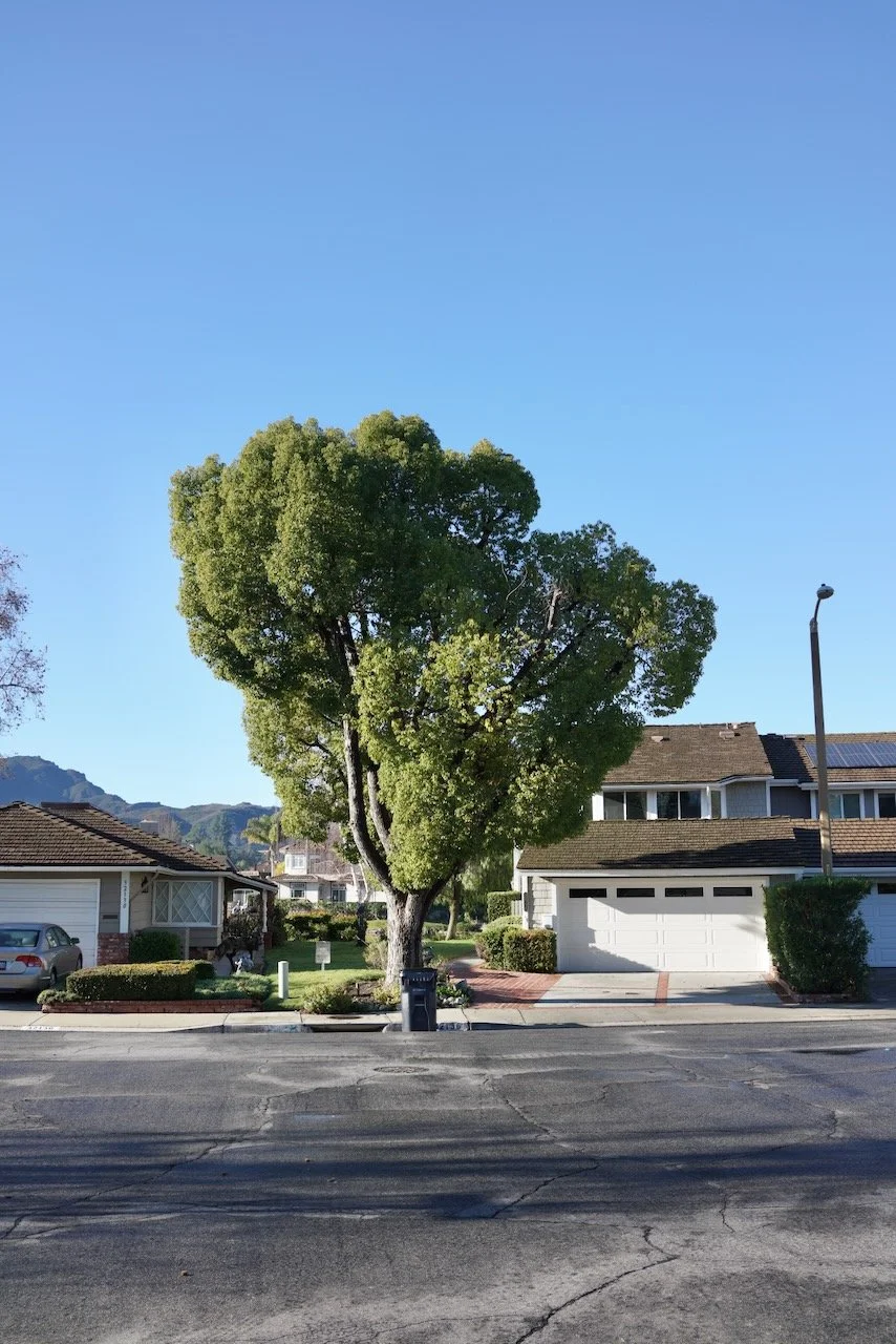  Equilibrium 2024:20 (2024) C-print on wood panel, 60”x40” 