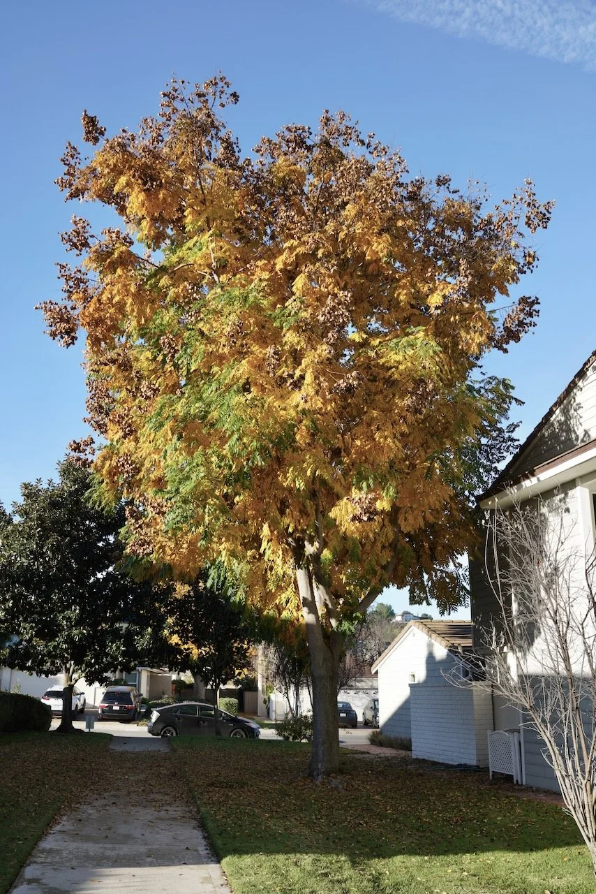  Equilibrium 2024:22 (2024) C-print on wood panel, 60”x40” 