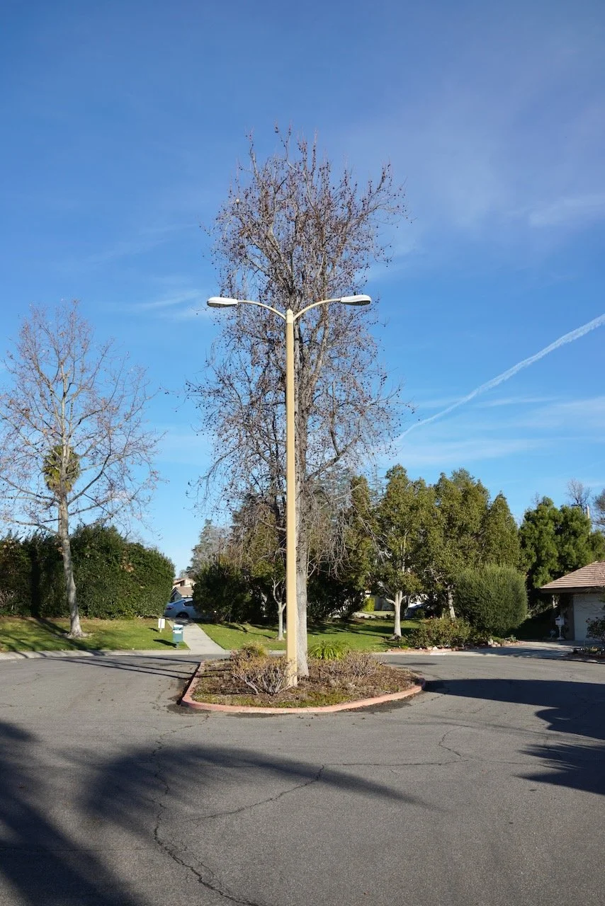  Equilibrium 2024:24 (2024) C-print on wood panel, 60”x40” 