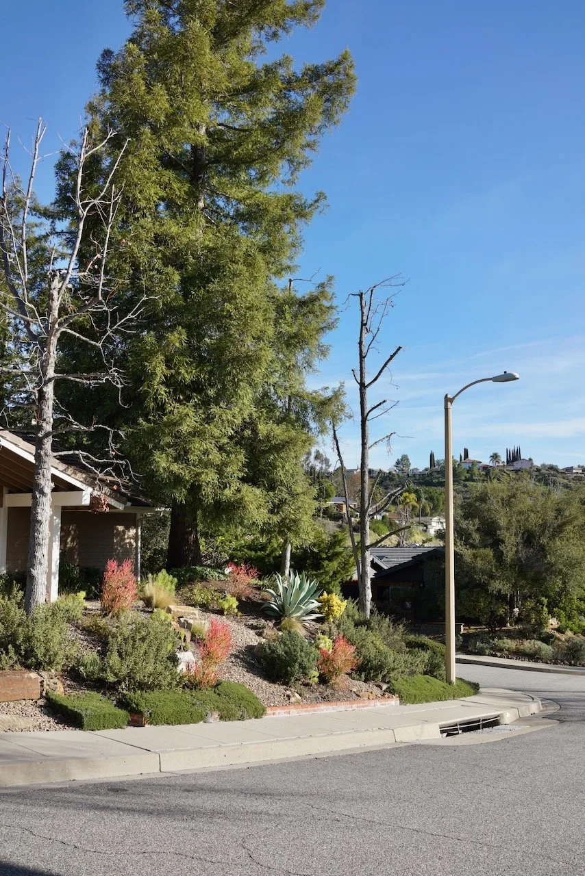  Equilibrium 2024:26 (2024) C-print on wood panel, 60”x40” 