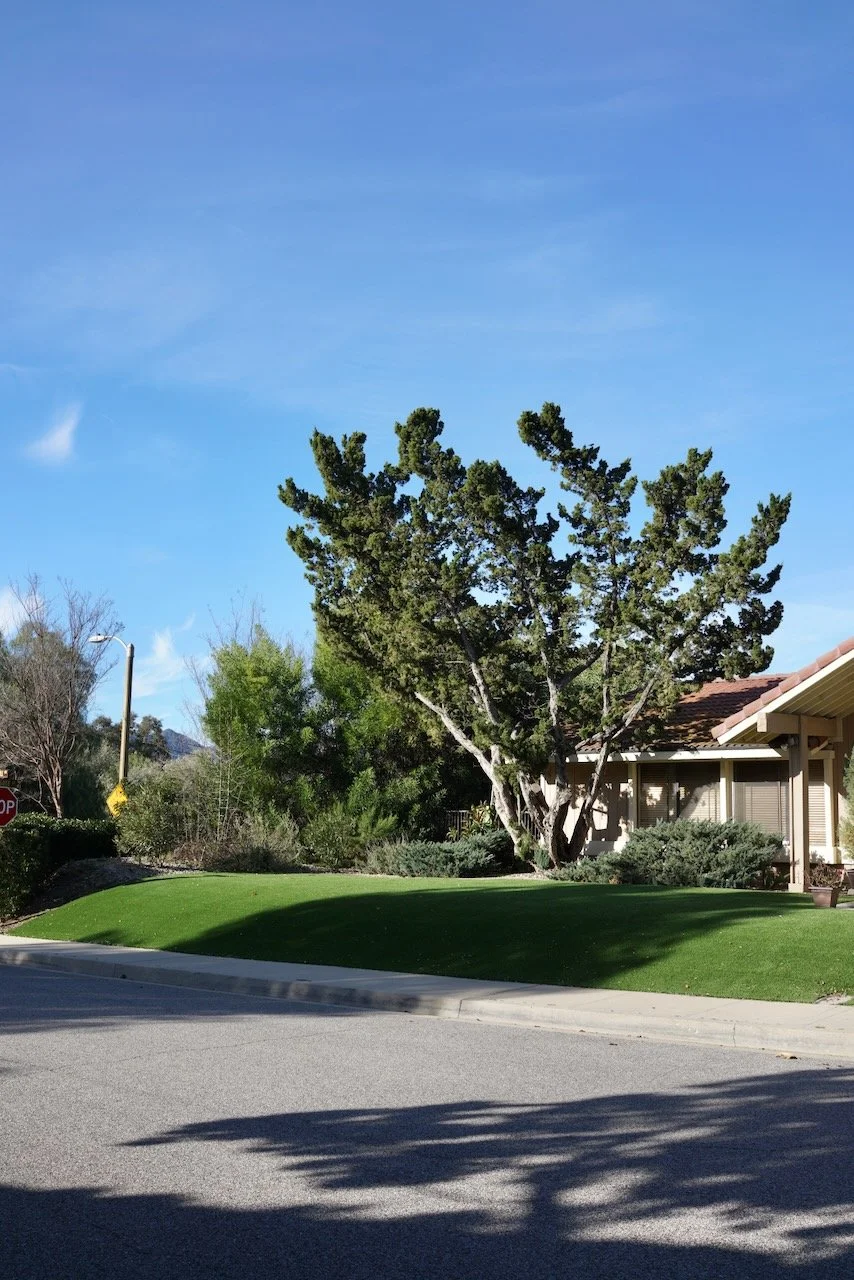  Equilibrium 2024:28 (2024) C-print on wood panel, 60”x40” 