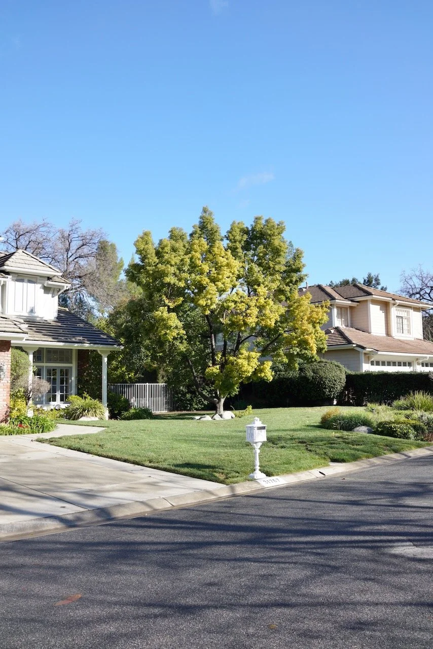  Equilibrium 2024:29 (2024) C-print on wood panel, 60”x40” 