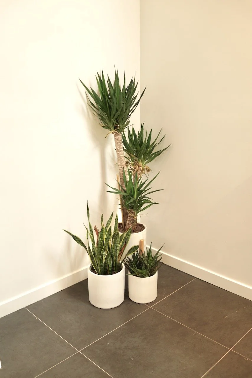  Equilibrium 2024:31 (2024) C-print on wood panel, 60”x40” 