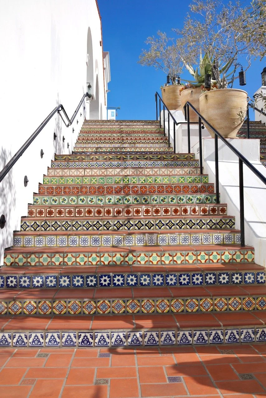  Equilibrium 2024:33 (2024) C-print on wood panel, 60”x40” 