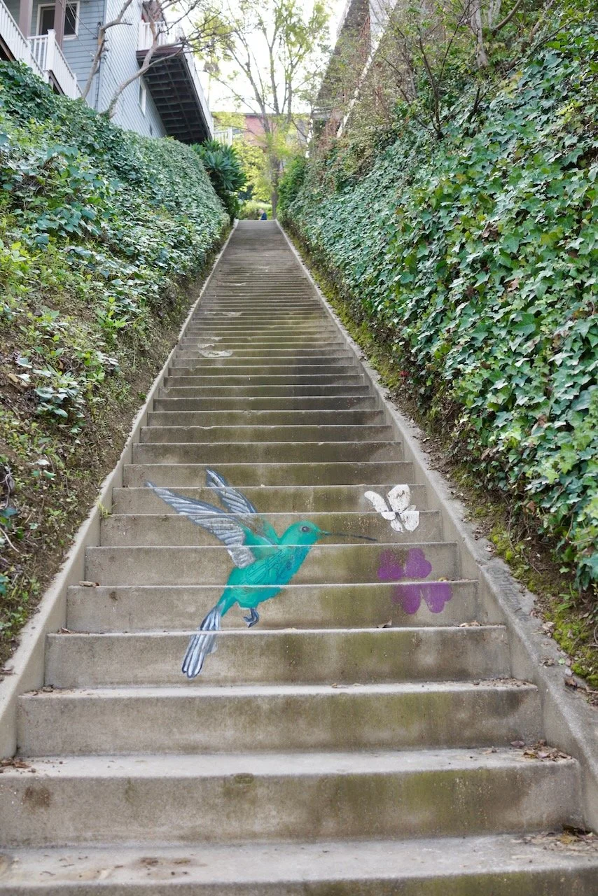  Equilibrium 2024:34 (2024) C-print on wood panel, 60”x40” 