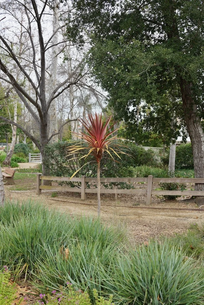  Equilibrium 2024:35 (2024) C-print on wood panel, 60”x40” 