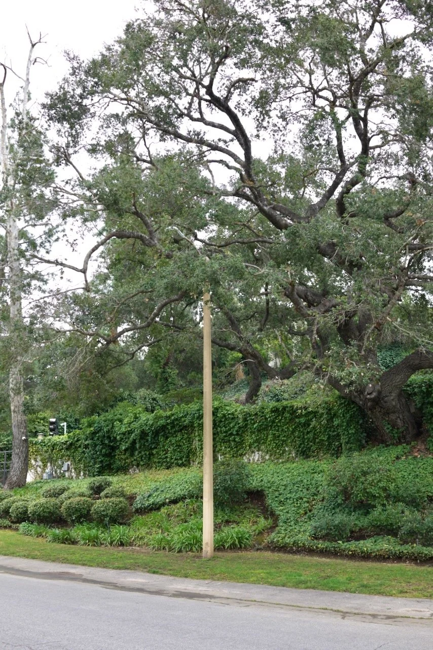  Equilibrium 2024:36 (2024) C-print on wood panel, 60”x40” 