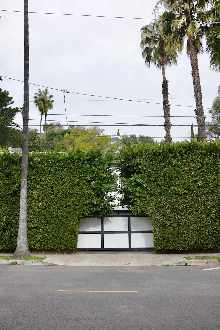  Equilibrium 2024:39 (2024) C-print on wood panel, 60”x40” 