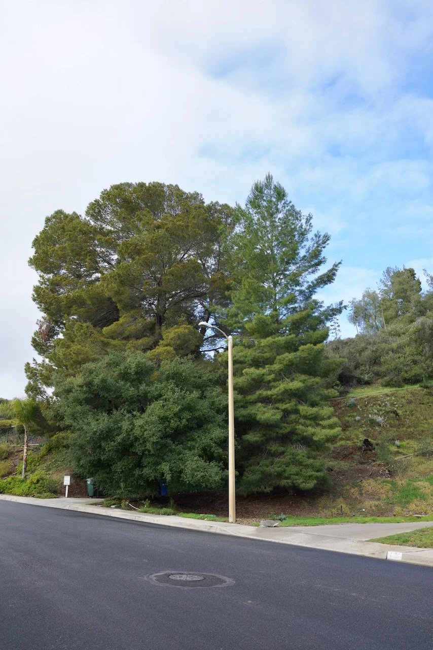  Equilibrium 2024:41 (2024) C-print on wood panel, 60”x40” 