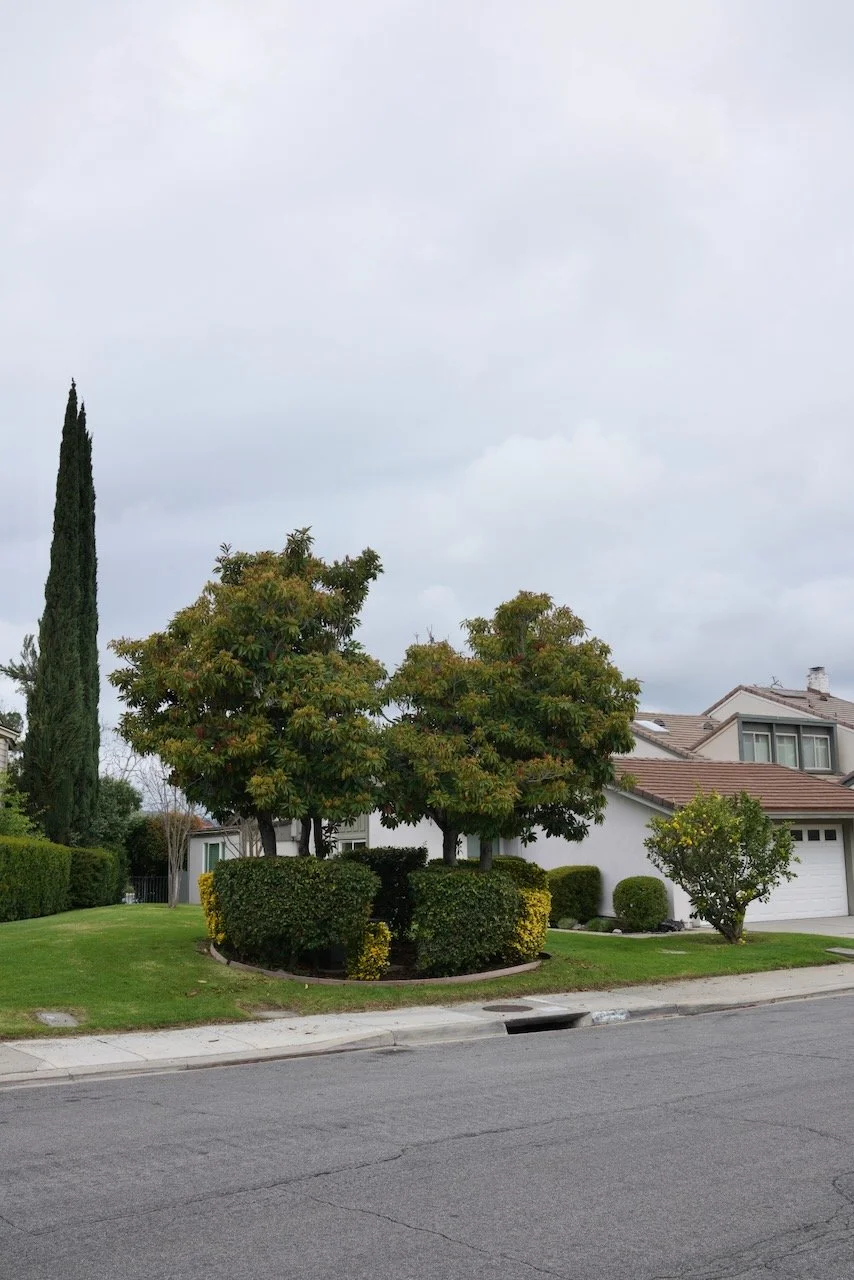  Equilibrium 2024:42 (2024) C-print on wood panel, 60”x40” 